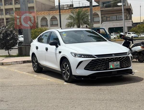 بي واي دي Qin Plus 2025 للبيع في العراق - كربلاء